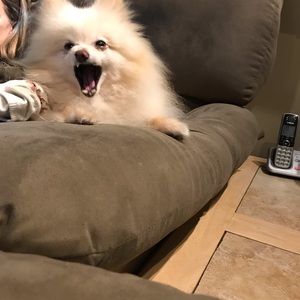 Meet your Posher, Ezzie